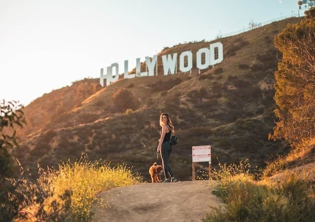 Cover Image for Influenceurs Américains Instagram | Le classement des 10 meilleurs