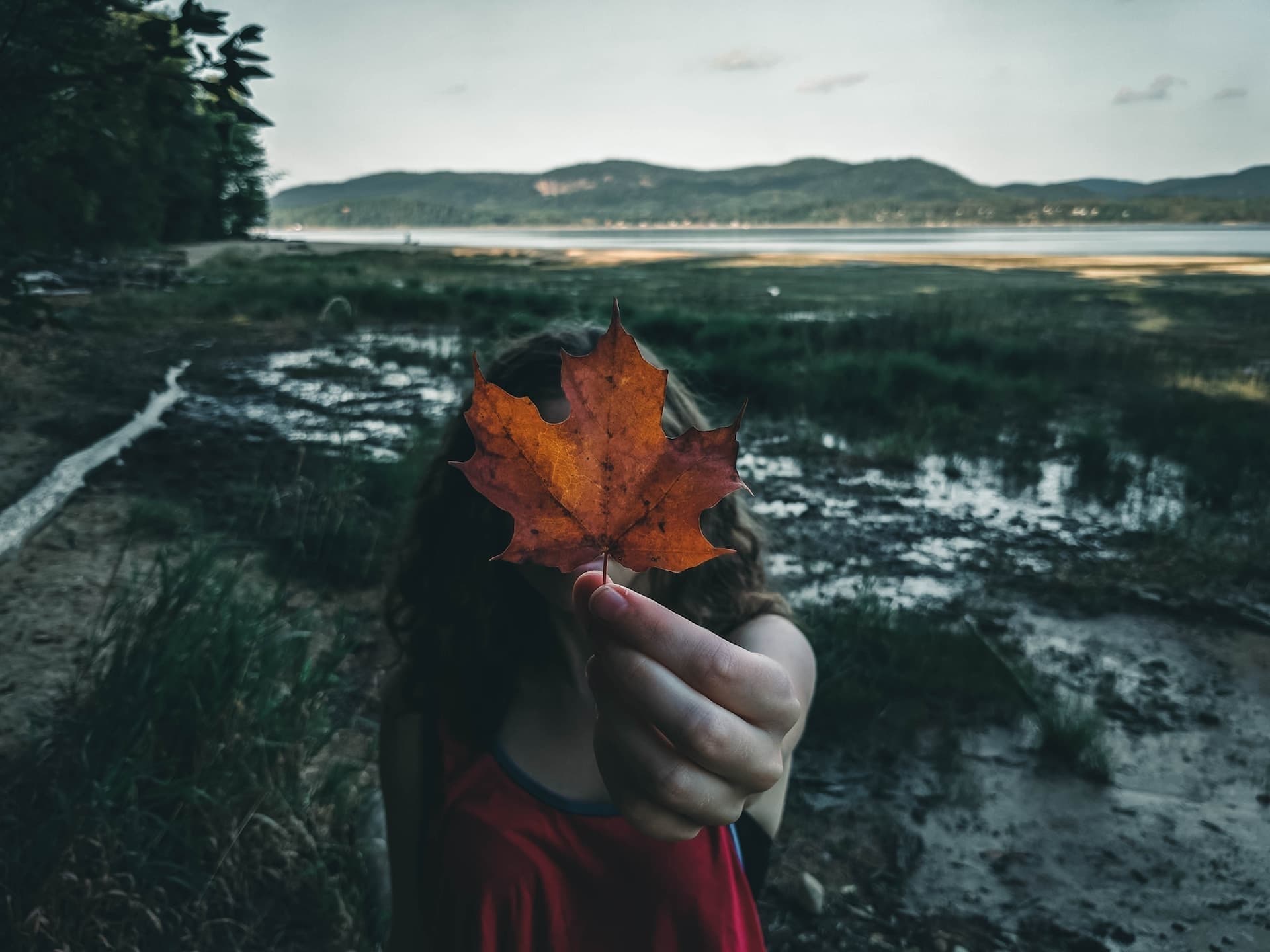 Cover Image for Quels sont les Influenceurs Instagram Québécois à absolument suivre