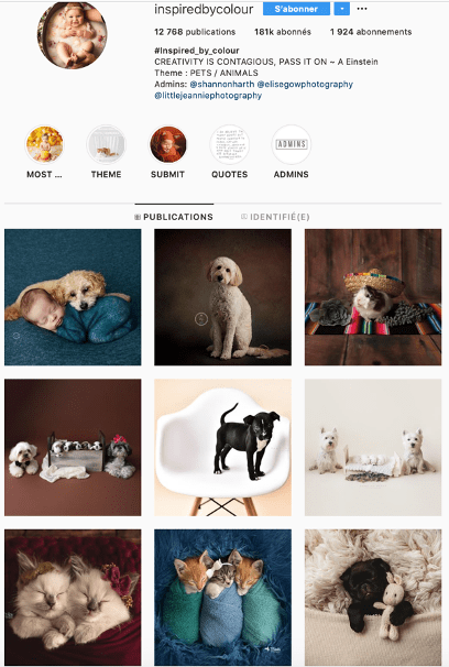 profil instagram inspirebycolour
