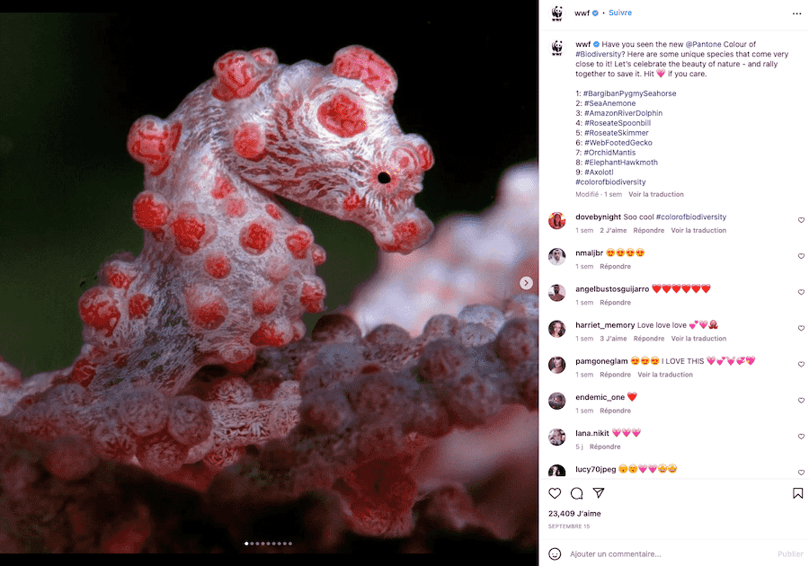 astuce hashtag instagram