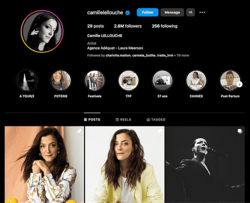 compte instagram de camille lelouche top 3 des comptes instagram d'humour