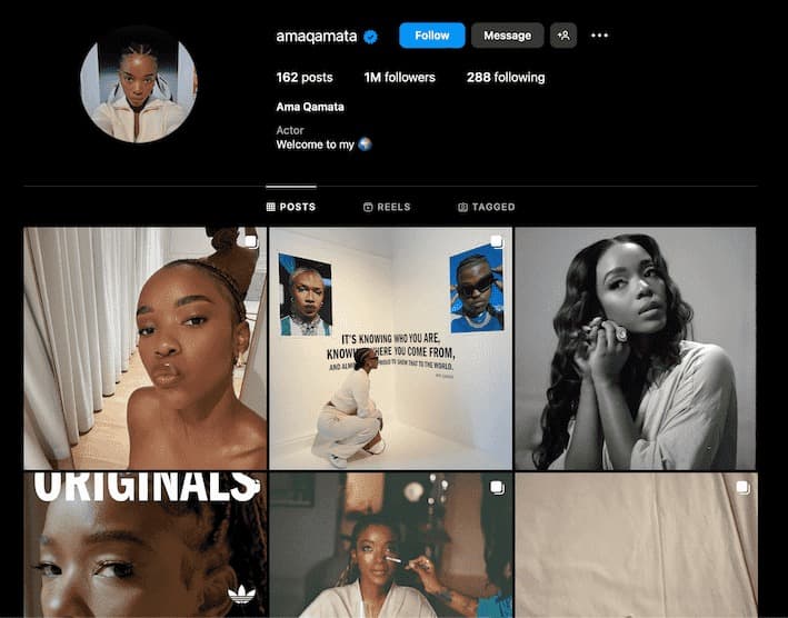 Top 5 des influenceurs africains
